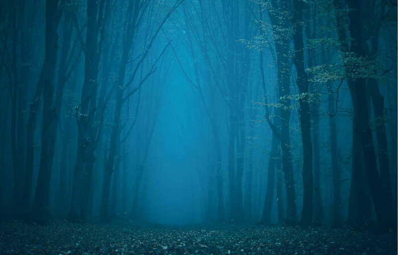 3bd194fa70ca4a009ecca99a1330e977