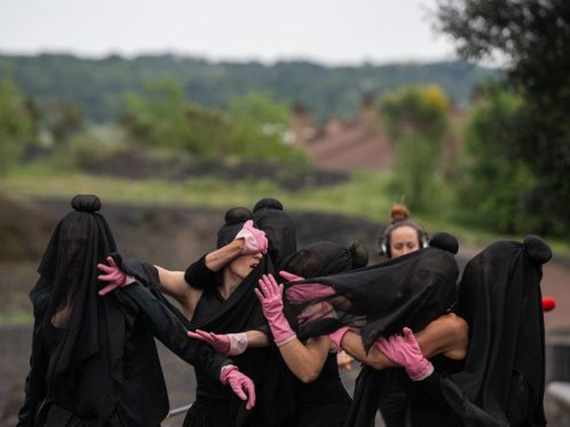 | Le lichen prend racine comme Rosa prend le bus |