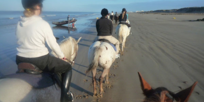 88a06cb0f3f24c728e8d2e44d669b8d6