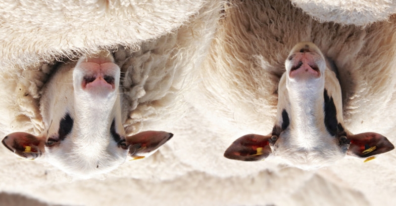 0cab5c2bb5d94934965af76163ce66bf