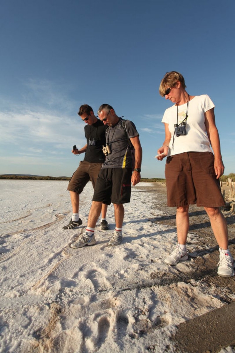 2b063ee417104a77811e93745cd71ba0