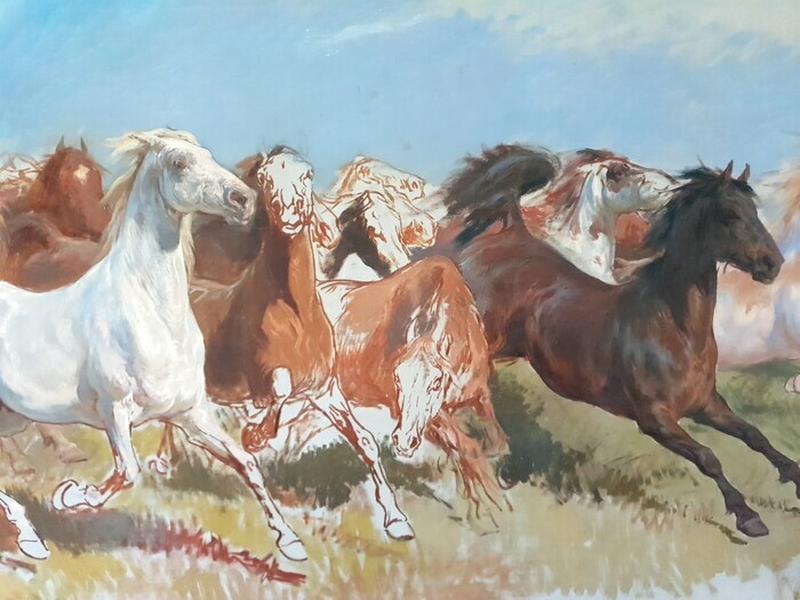 e81a3f27735f472f9b0427ce739bfab2