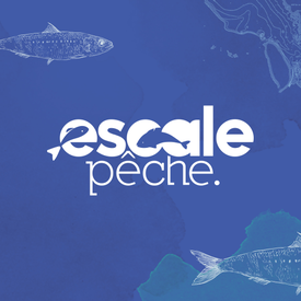 a32147f5329d4865a209df1b0724387e