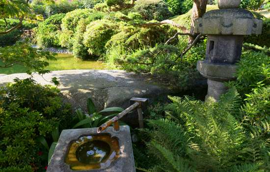 Jardin Japonais / 일본 정원