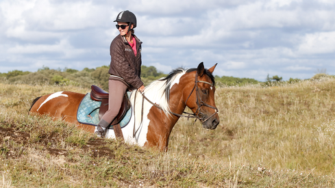 Balade à cheval ou poney à tarif réduit