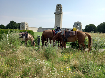 Randonnée à cheval à la journée