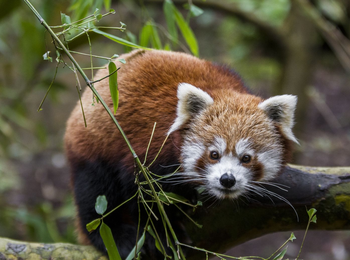 3ae9e94c1e634884a1739101e81bfd42