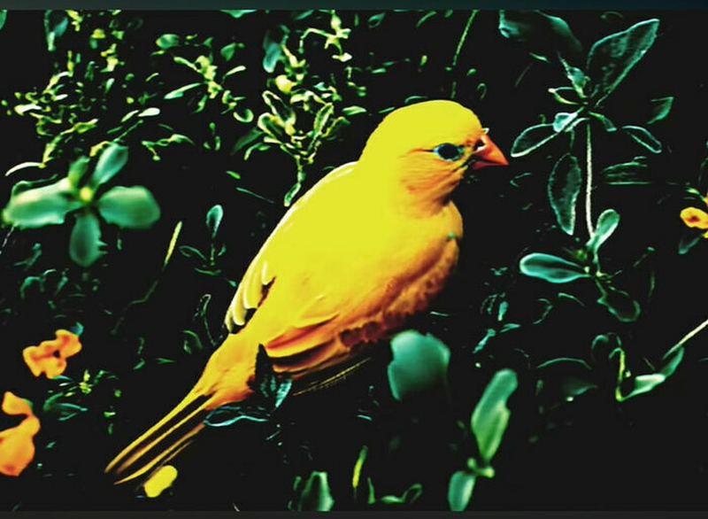 d0af2fe4a8c340369741c8375175a34a