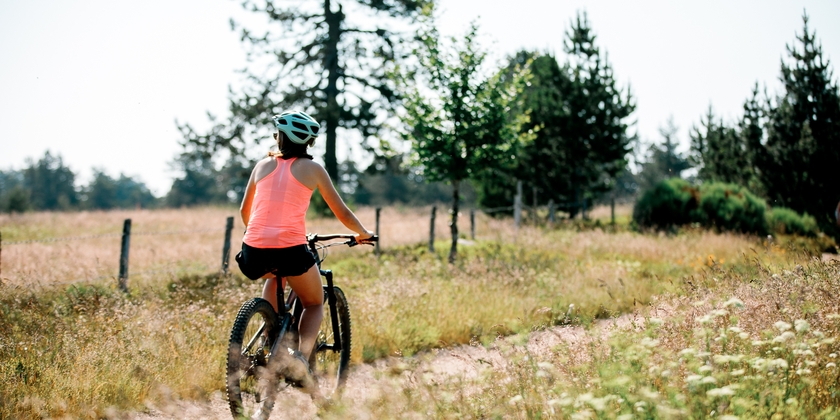 20704c7816bb4849bad44fe4c87d490c