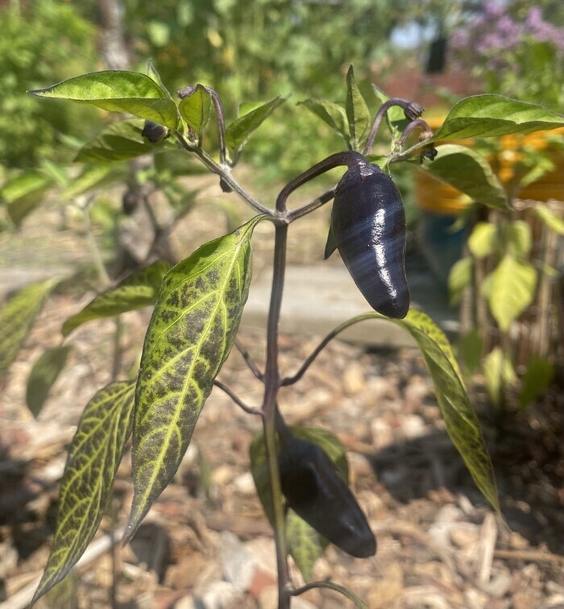 b2bfdf68213f4b358eb4e123efcafaa7