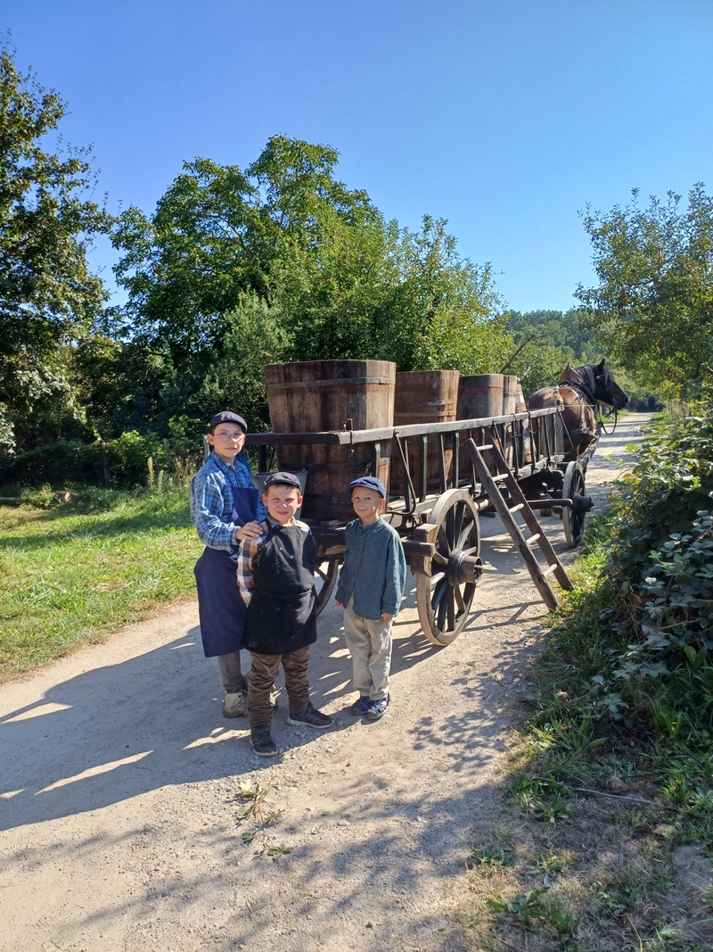 17908f01a89b4cedb380d2847da781d2