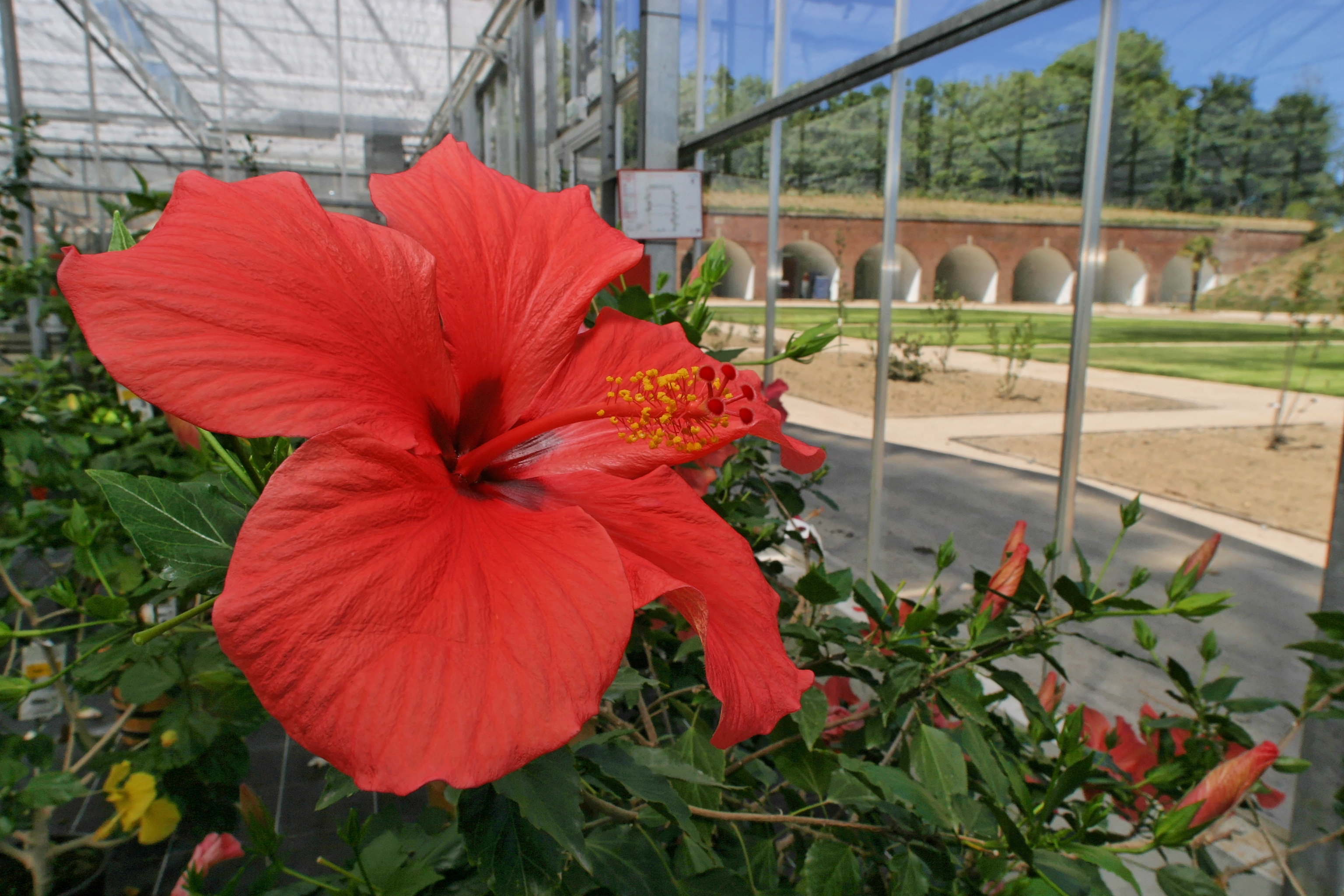 3cabf8b61e37472da1f9e4659a8e5e93