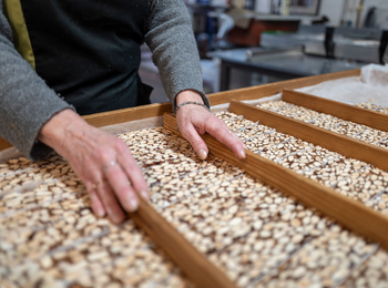 1261e93a27594498ac10d476901c5f4b