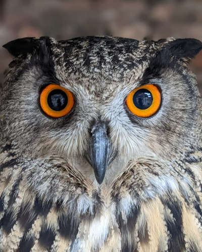 b412ebaa43f74b88b16dfd593e125f7a