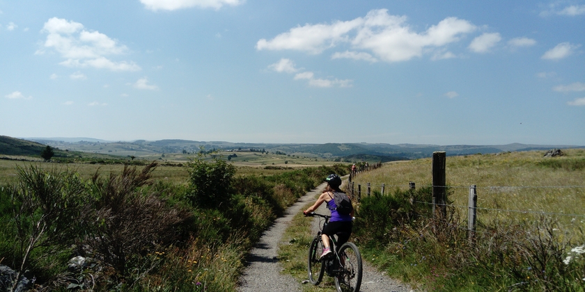 1a98443077cc4ae3a94eb8bdcdc8f05e