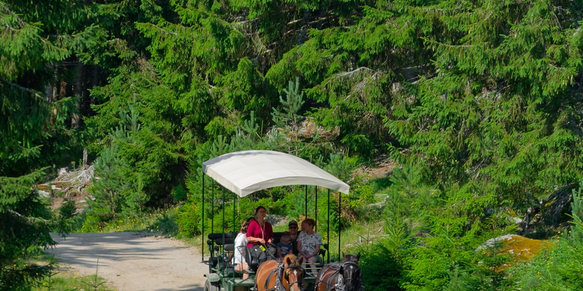 c93091b95d5a4ce3b82d45a1cfd0a372