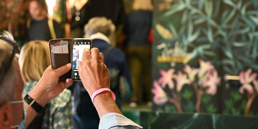 08e70c9efa13476b881fa0c994a166ed