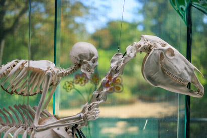 496b594a3801406386c25311a951f42b