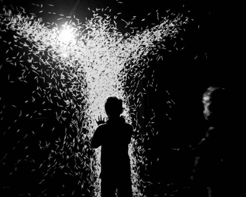 EXPÉRIENCE IMMERSIVE : XYZT, LES PAYSAGES ABSTRAITS