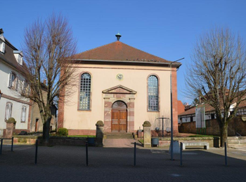 81865ac4135f409e802d47540f7e6564