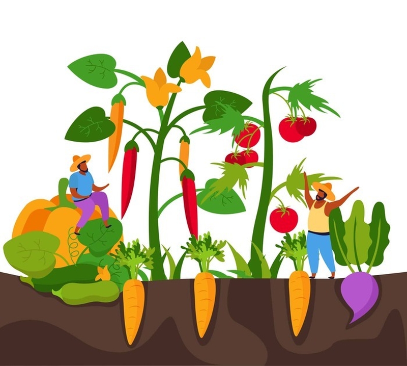 8667ff26341b4bc2abb9d8af0ea18d68