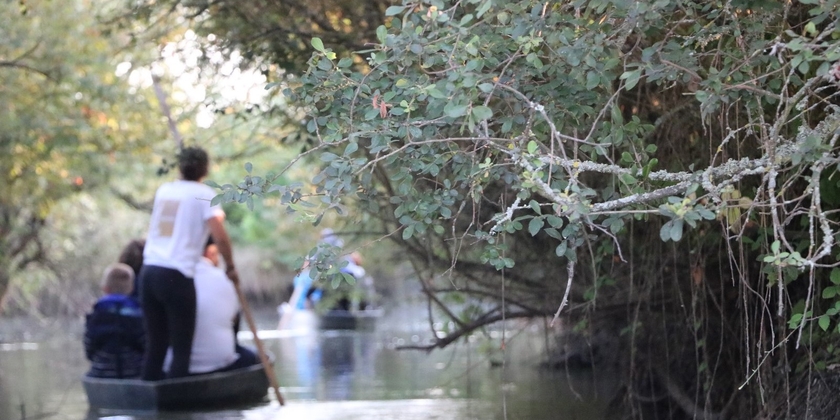 40e8fa598eeb4affbe4ad7ea9ddead33