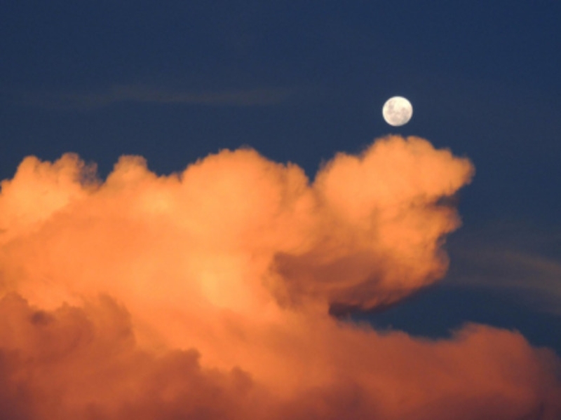 b8670ea74a2f4ecdaf3f4b57b499783b