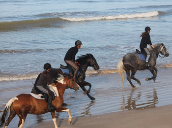 210829dea08946cdbbd6952b1aa92eda