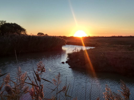 b5142631ab4e48b3b191e61ba93931bc