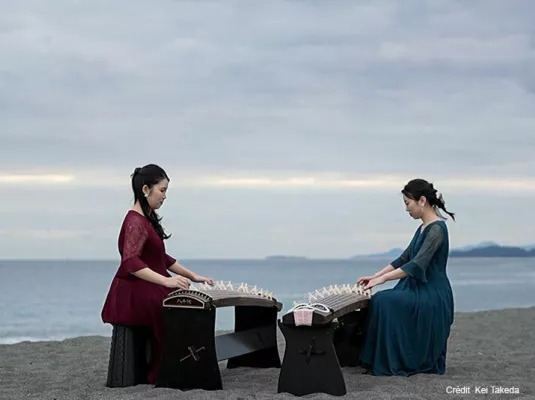 e77a8d30f75c4cc6aa270d485d46ef24