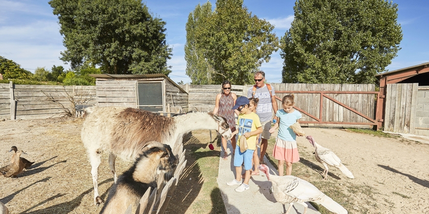 Balade à poney à tarif réduit