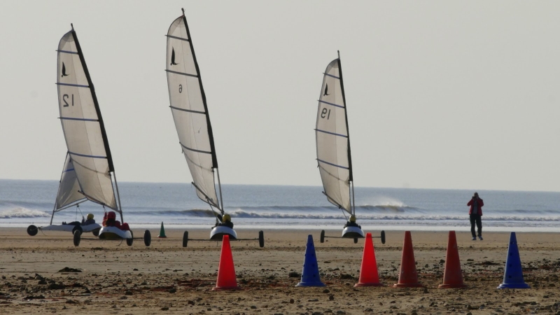 8afbc0c5da5e4cb8a342868f3dd8e60d