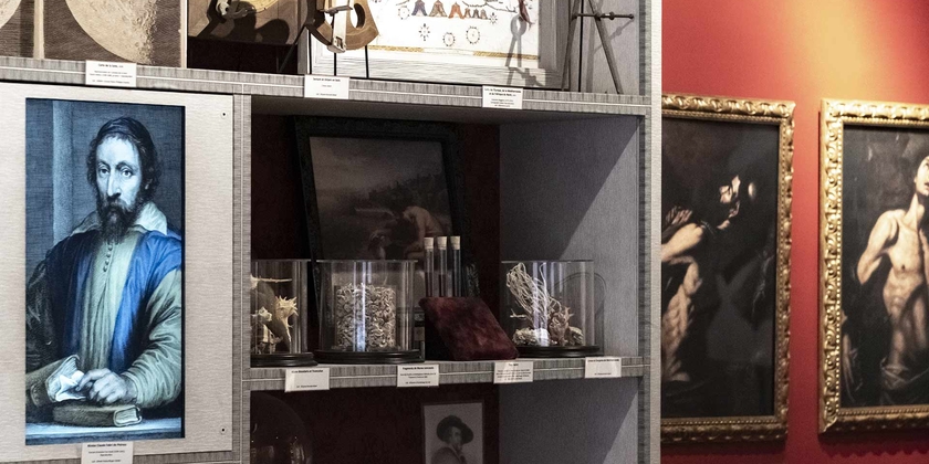 2a049d86b94141cd9549307111d05377