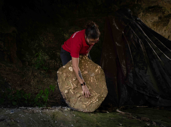 629a037dd6864da09c7a46d5a9e03881