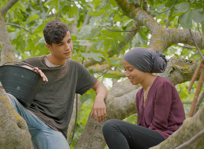 caa106541ff74810889f9f1c90784047