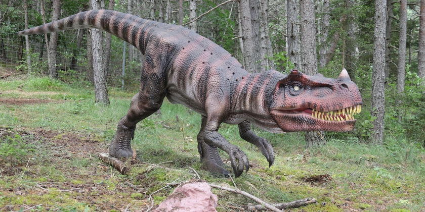 b295fa037b9a40d68b6c8ac679c51dda