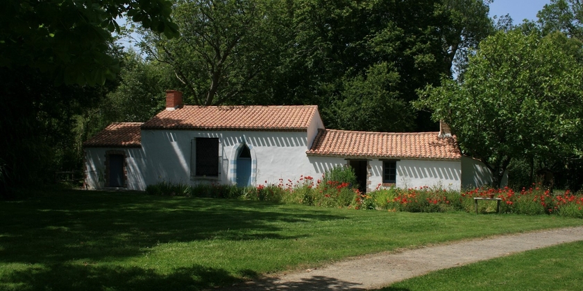 530d56446a9042659a441408c710b514