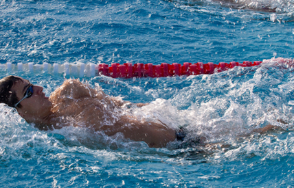 287ca6fc381d42f7a8452ad9df93251f