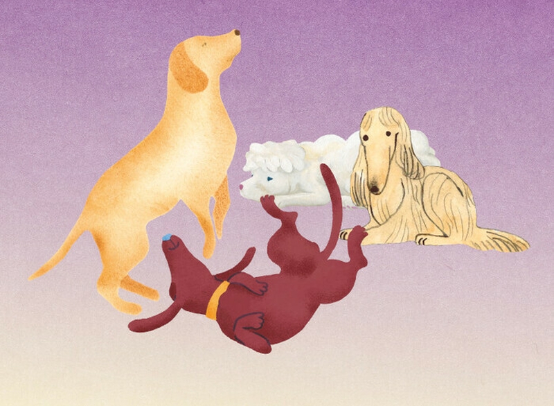 ca95633f95e145d3aeda413c069a4035