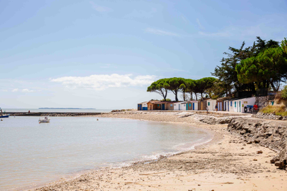 93854cb679e14b049e9e108b89e0a3eb