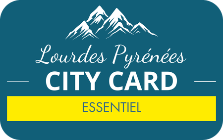 CITY CARD 24 H