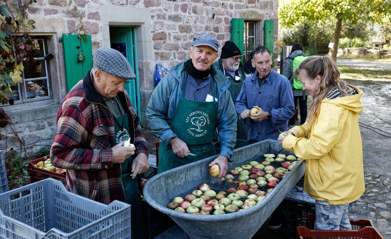 En nombre de la manzana