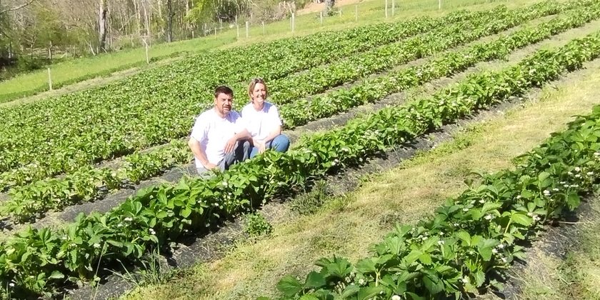 LES FRUITS  ROUGES DE LA COSTE