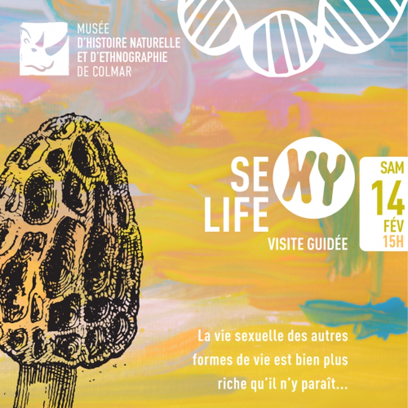 c2b8ffa1584e44ac8a0e1d063e96ed81