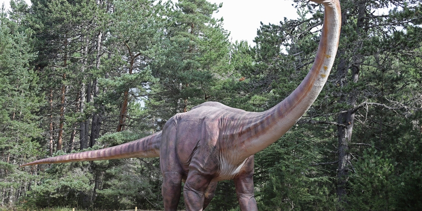 6bff3a82f56a4ebe85e70a3cb5361518