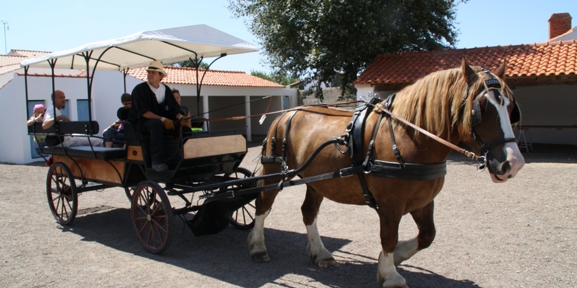 50417029060e47ffbb39ad73a3f390ae