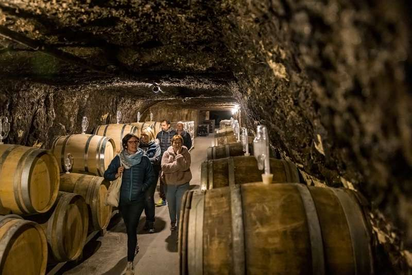 Rendez-Vous dans les Vignes
