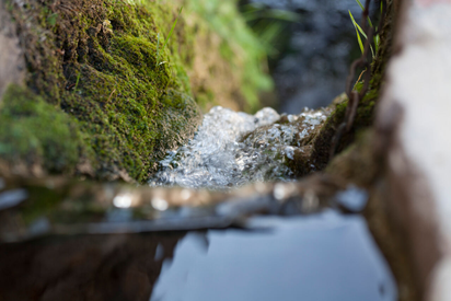 dcd96e9126854a0089237e664aad9395