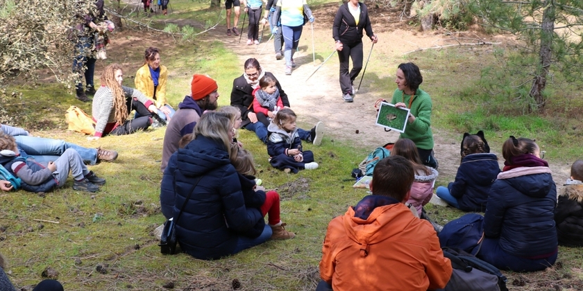 d58f46d55ee14c84810742520b682ab6