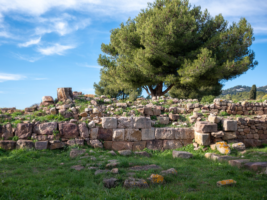 20e48a8fc6614e72bb6b33d23887f258